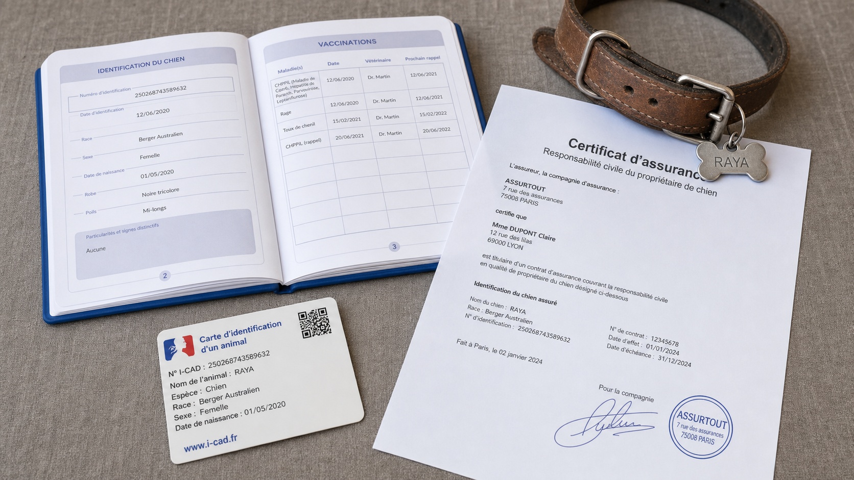 Attestation d'assurance chien et carnet de santé vétérinaire posés sur un bureau